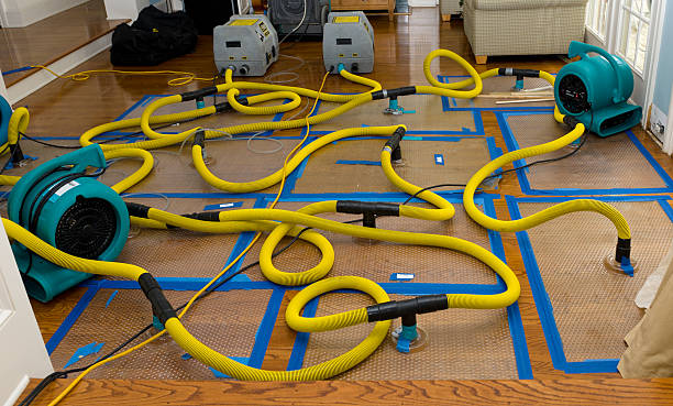 Professional Water Extraction technician working in Lincoln, AL